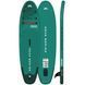 Доска надувная SUP board для плаванья с веслом Breeze Silver Tree &ndash; All-Around iSUP 3m/12cm BT-23BRP BT-23BRP фото 1