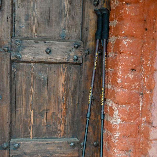 Треккинговые палки Vipole Trango S25 15 алюминиевые телескопические 3 секции TwistLock вес 220 г DAS303454 фото