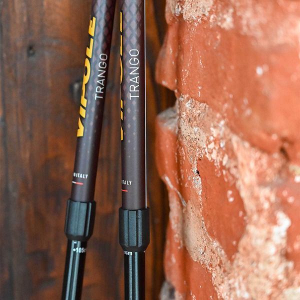 Треккинговые палки Vipole Trango S25 15 алюминиевые телескопические 3 секции TwistLock вес 220 г DAS303454 фото