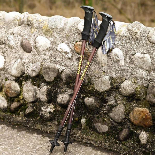 Треккинговые палки Vipole Trango S25 15 алюминиевые телескопические 3 секции TwistLock вес 220 г DAS303454 фото