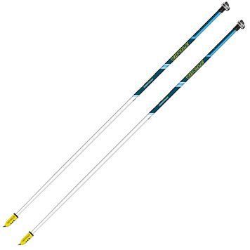 Карбонові палки для скандинавської ходьби Vipole Asta Power Steps Blue 125 фіксовані QuickLock ALU 125 см 1000 г 151 г DAS303436 фото