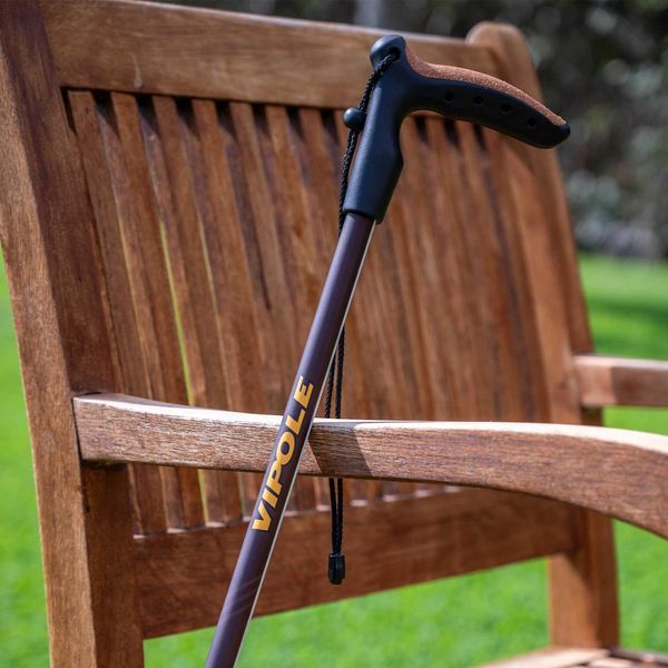 Надійна трекінгова палка Vipole Walker S25 22 телескопічна TwistLock максимальна довжина 135 см вага 240 г 3 секції DAS303458 фото