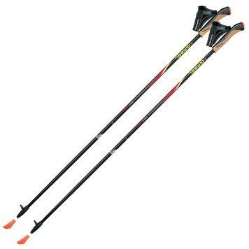 Палки для скандинавської ходьби Gabel FX-75 Snake Carbon 110 см з наконечниками Dual Spike легкі DAS302072 фото