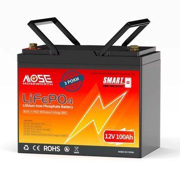 Акумулятор LiFePO4 MOSEWORTH 12V 100 Ah BMS100A 1280Wh черний гарантія 36 міс висока безпека довговічність 123000800 фото