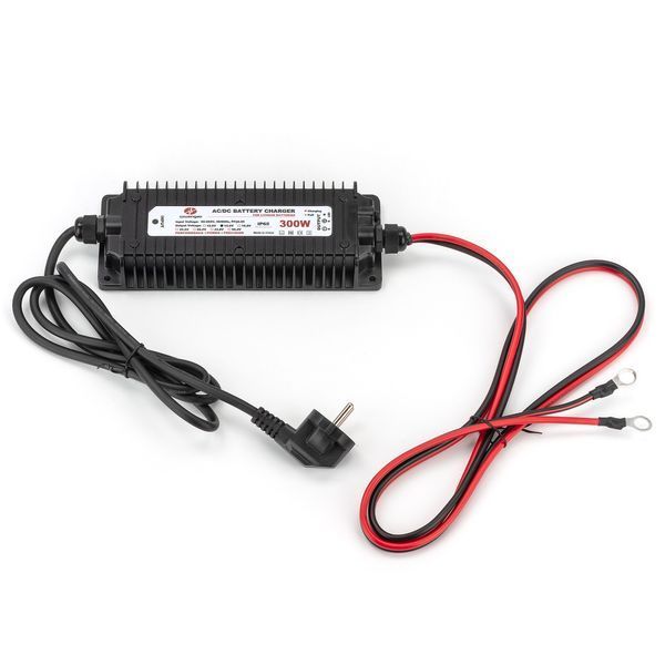 Влагозахищена зарядка для літій-залізофосфатного акумулятора 12V 20A ВЕНГАУ WG-12C300S фото